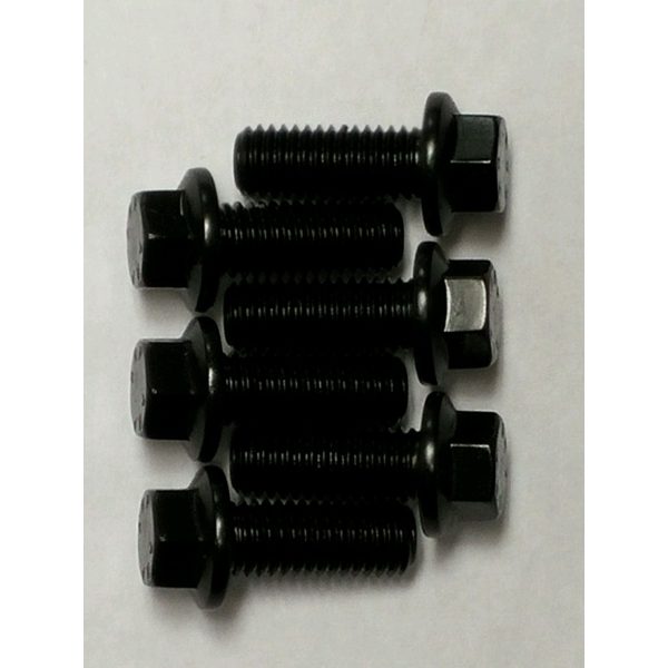 Bolt Pak P/P 10mm X 1.50mm X 25mm