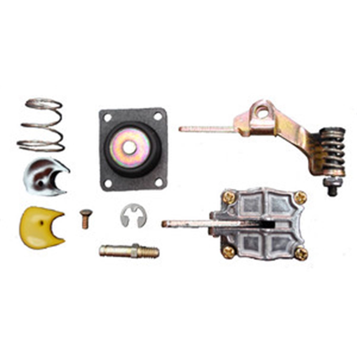 Carburetor Accelerator Pump Kit