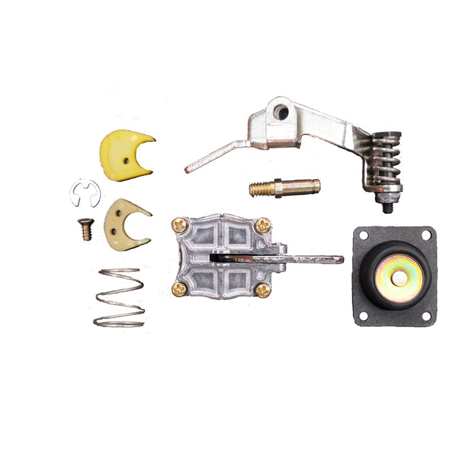 Carburetor Accelerator Pump Kit