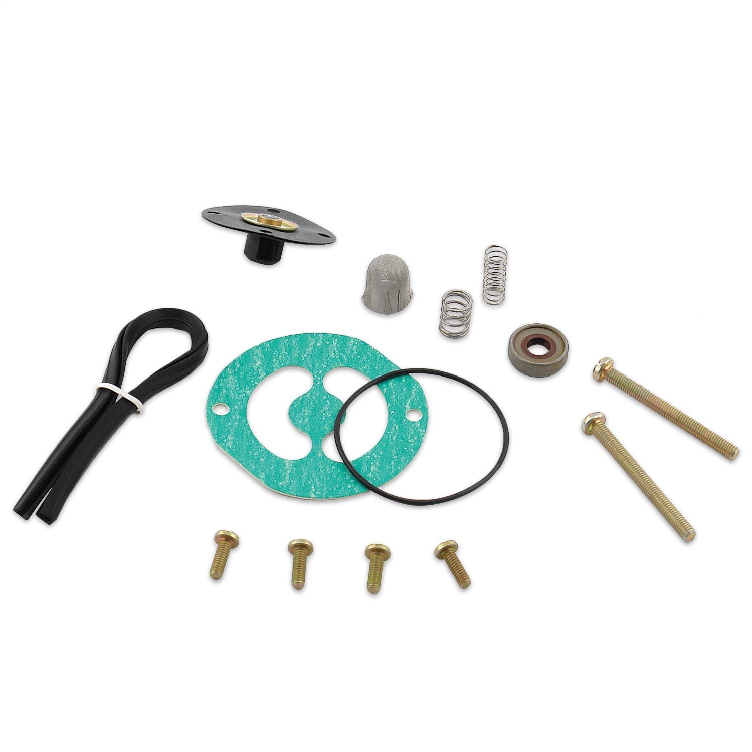 Diaphragm Kit