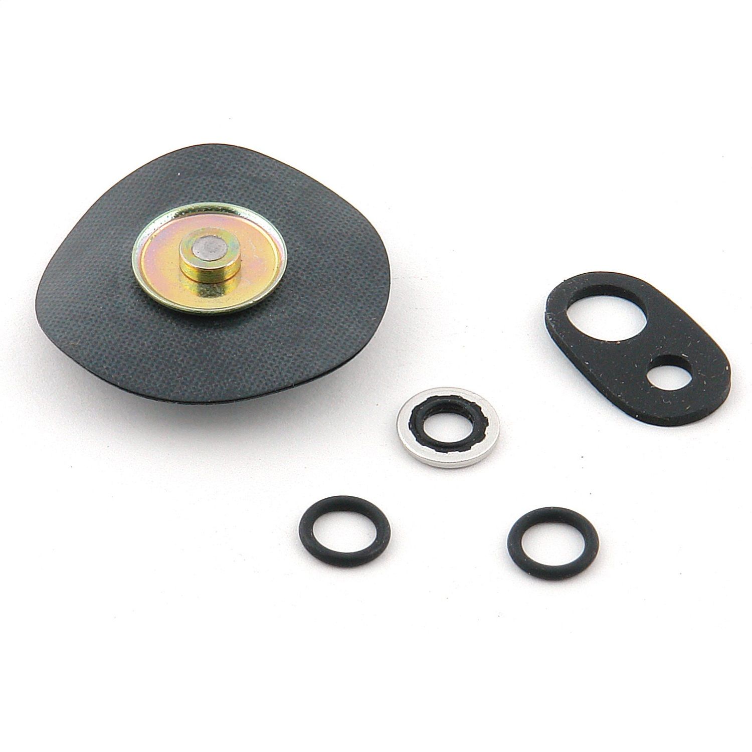 Diaphragm Kit